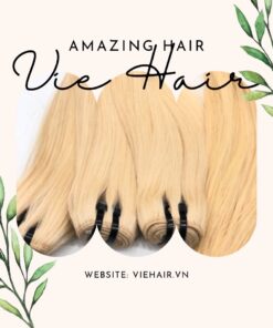 Single Donor Vietnamese Human Hair